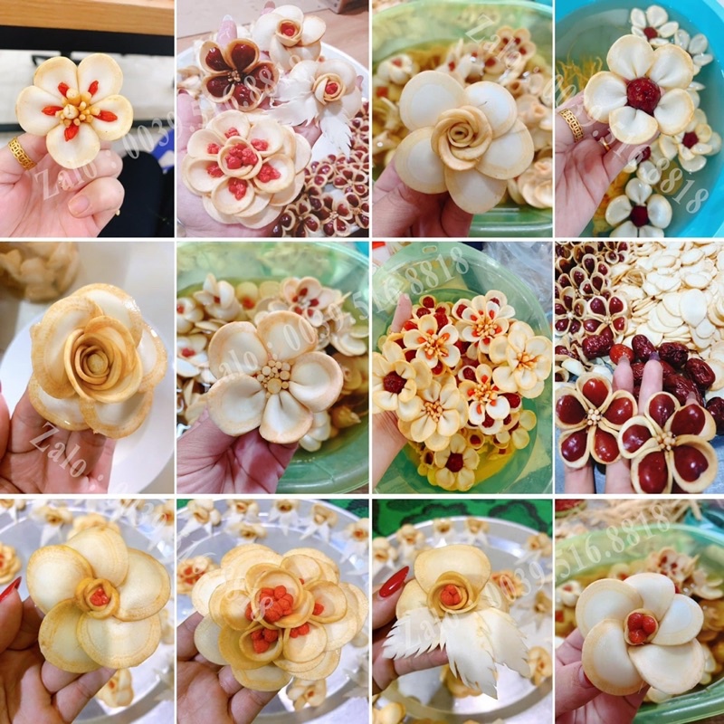 1 Bông Hoa Điêu Khắc từ Sâm Hàn quốc, đinh lăng điêu khoắc hoa | BigBuy360 - bigbuy360.vn