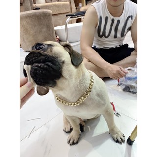 Dây xích mạ vàng kim loại nhẹ ĐO THEO SIZE CỔ