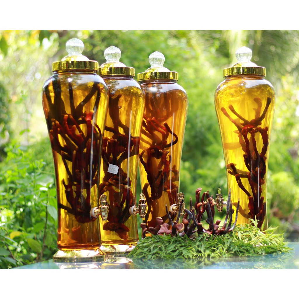 【﻿ＧＩÁ　ＳỈ】- Nấm Linh Chi Sừng Hươu Hàn Quốc hộp 500gr chính hãng | BigBuy360 - bigbuy360.vn