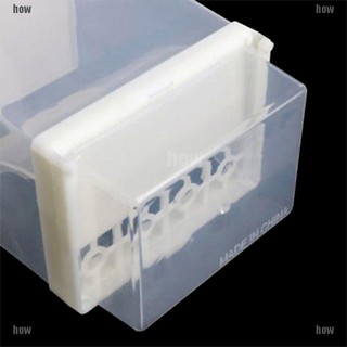 Khay Đựng Thức Ăn Tự Động Cho Chim Cảnh