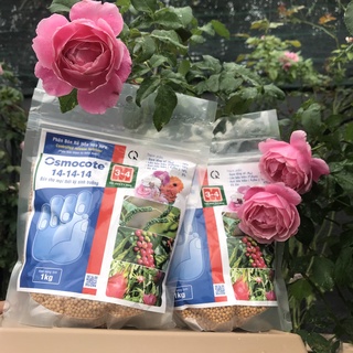 Phân tan chậm osmocote 14-14-14 - túi 1kg