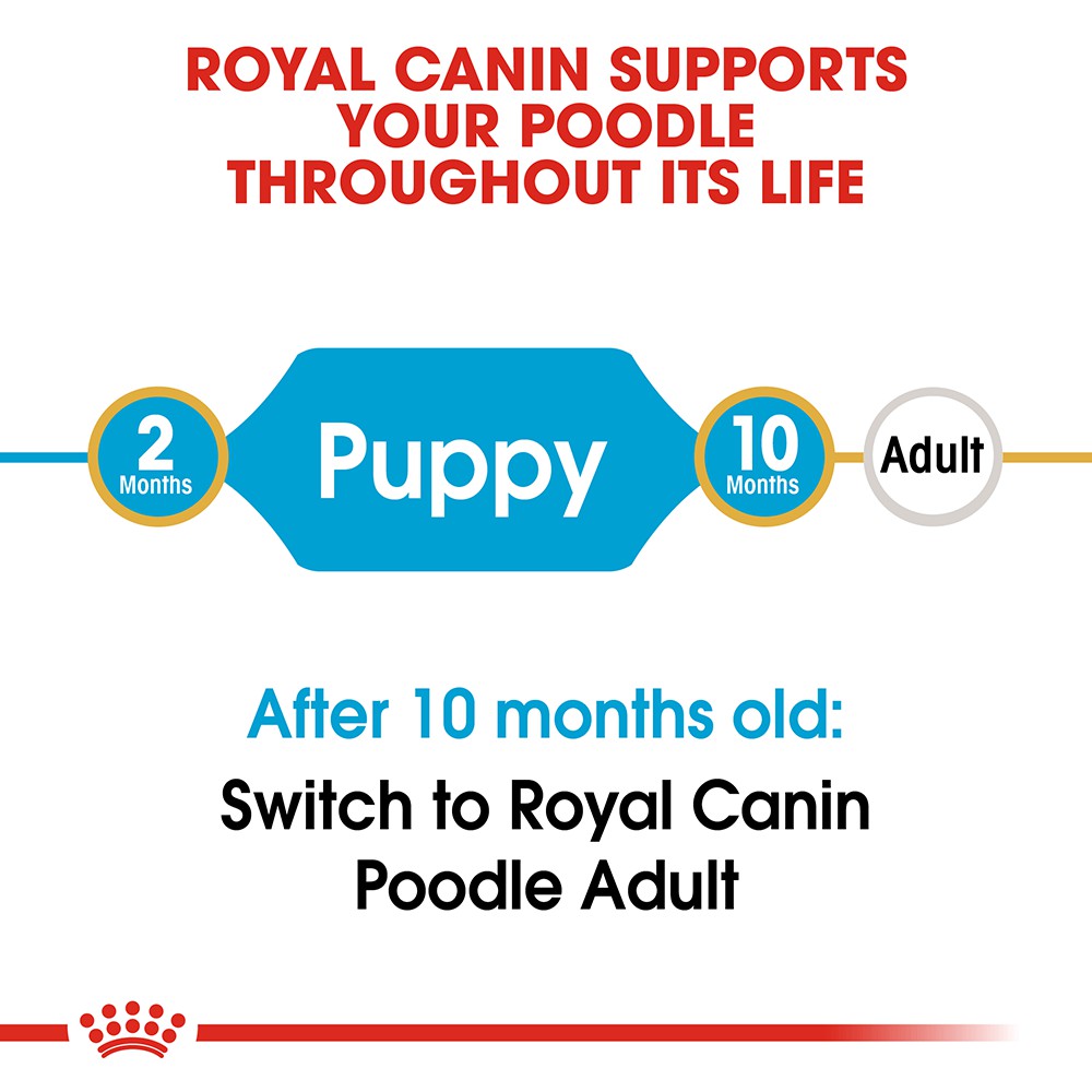 Thức Ăn Hạt Cho Chó Poodle Nhỏ Royal Canin Poodle Puppy - Lida Pet Shop