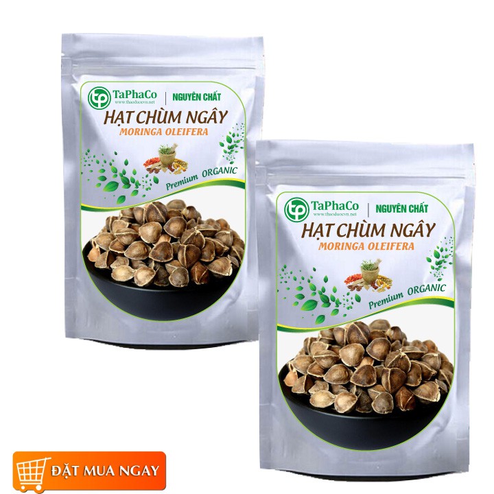 Hạt chùm ngây khô - Tấn Phát
