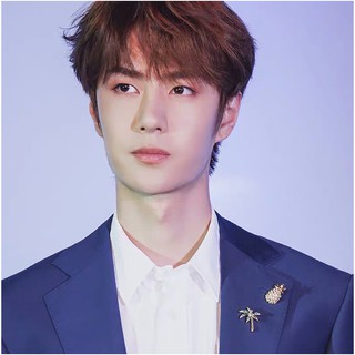 Cài áo dừa dứa Vương Nhất Bác