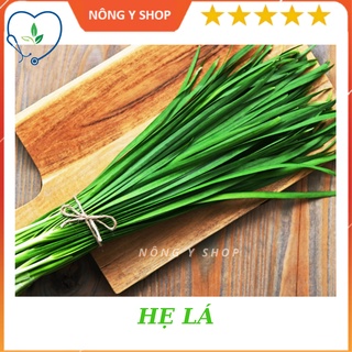 Hạt giống hẹ cao sản, chất lượng cao rạng đông - rado 83 1gr