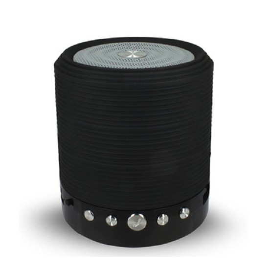 Loa Bluetooth WS-631 Mini Speaker Giá Rẻ