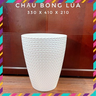 Bộ 02 chậu bông lúa trắng 33cm x 41cm nhựa dày đẹp trồng hoa kiểng, cây ăn trái...