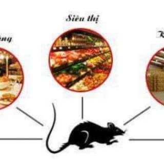 Viên diệt chuột Nhật Bản Dethmor