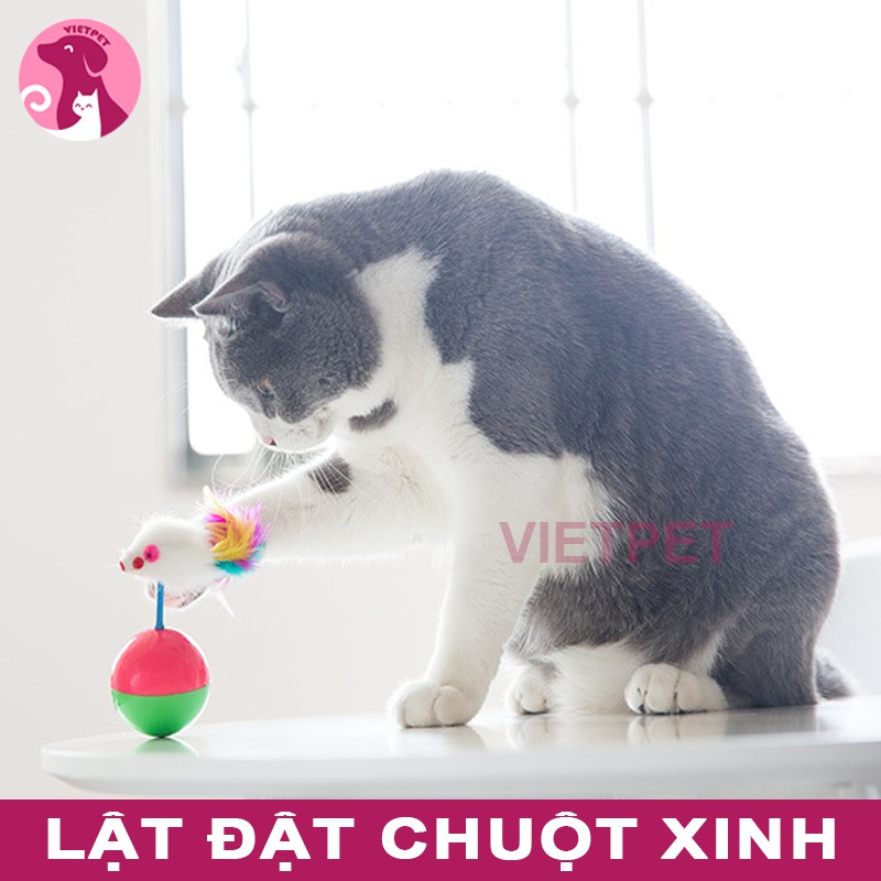 Đồ chơi cho mèo - Chuột lật đật dễ thương