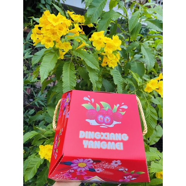 Ô mai thanh mai hộp giấy 600gram