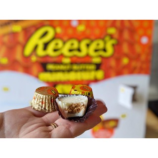 Socola Reeses Trắng Lớn - Socola Mỹ