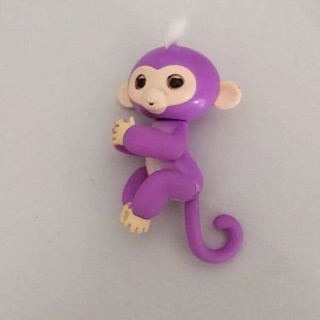  Khỉ fingerlings 