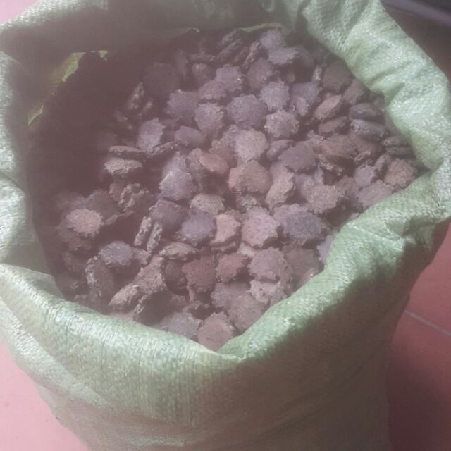 Hạt gấc khô combo 10kg