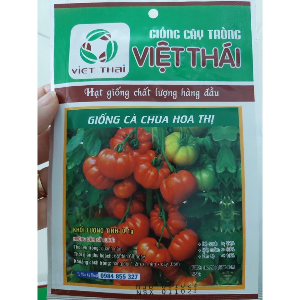 [Seeds] Hạt giống cà chua hoa thị (giống cà chua múi), đóng gói 0,1gr