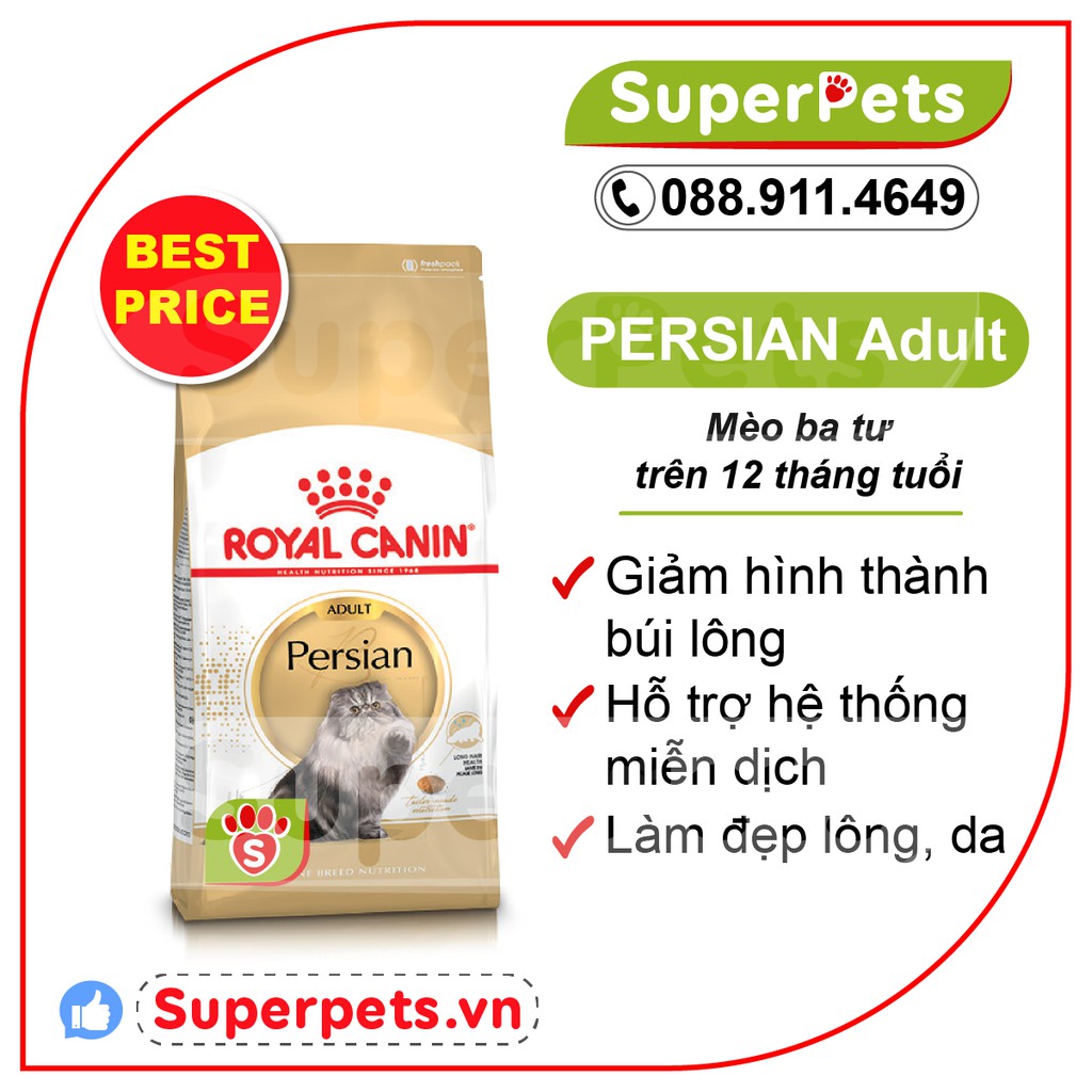 Thức Ăn Cho Mèo British Shorthair Persian Kitten Adult Royal Canin Chính Hãng Nhập Pháp SUPERPETS VIỆT NAM