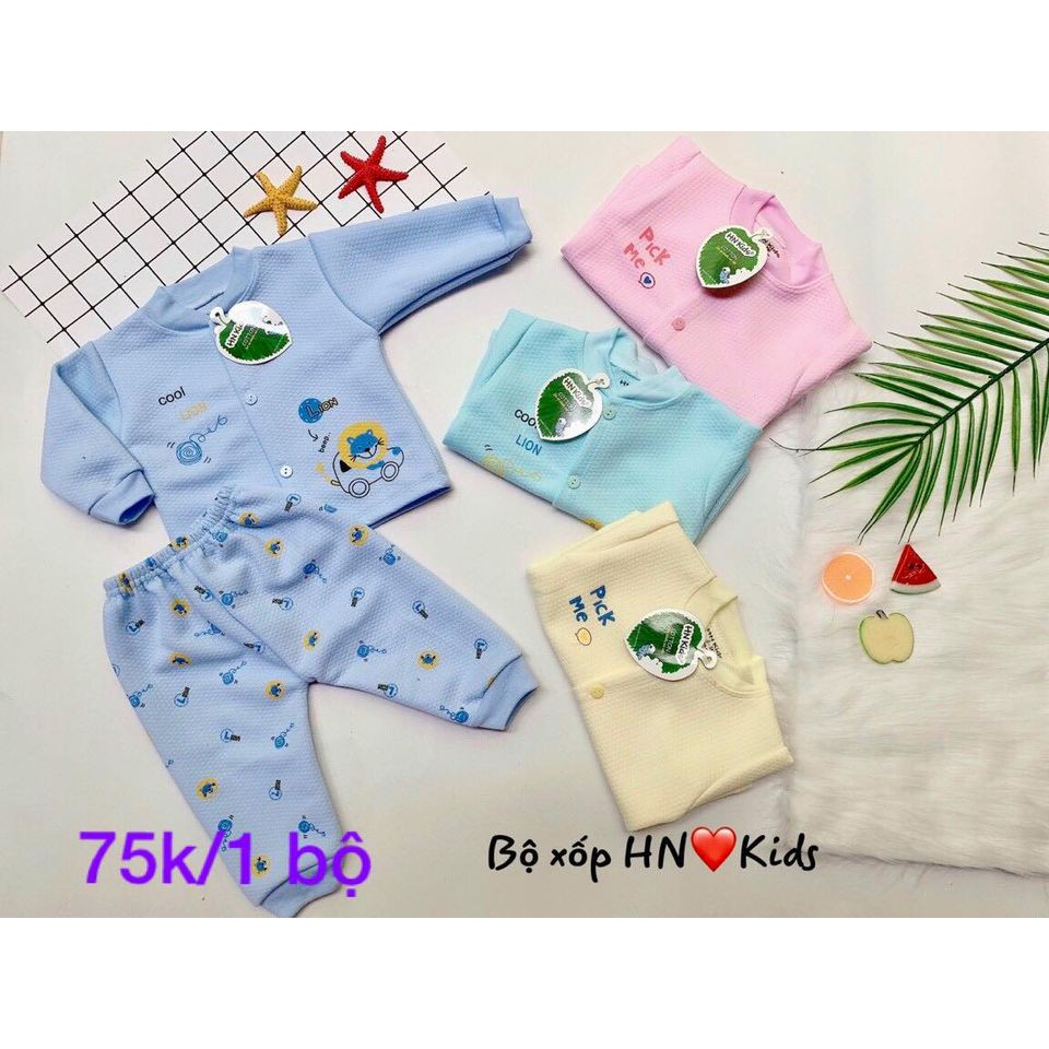 Bộ trần bông HNKIDS cúc giữa MÀU