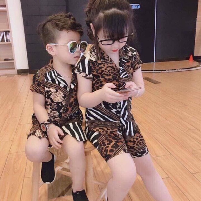 Combo 15 bộ trái cây