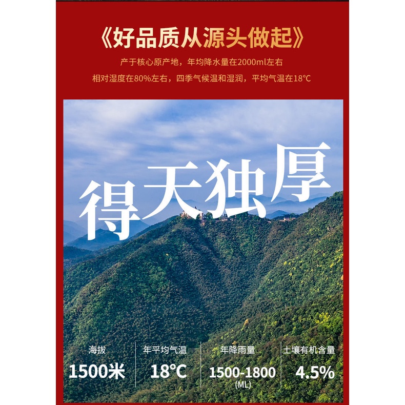 Trà Thiết Quan Âm An Khê Hảo Hạng Đóng Hộp (250 gram)