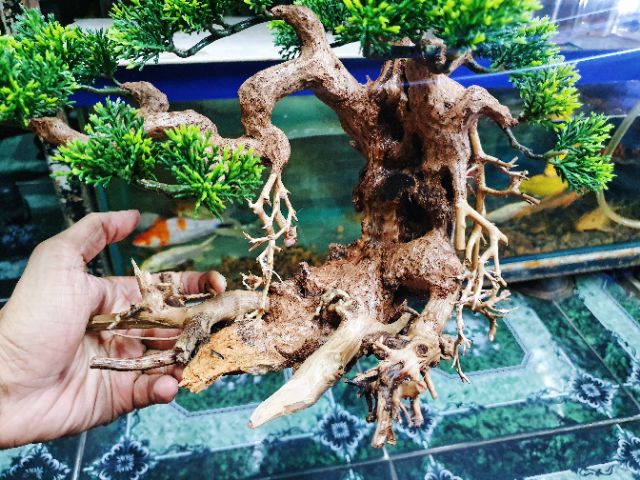 CÂY LỦA BONSAI KHÔ TRANG TRÍ HỒ CÁ NON BỘ 30x13x20cm