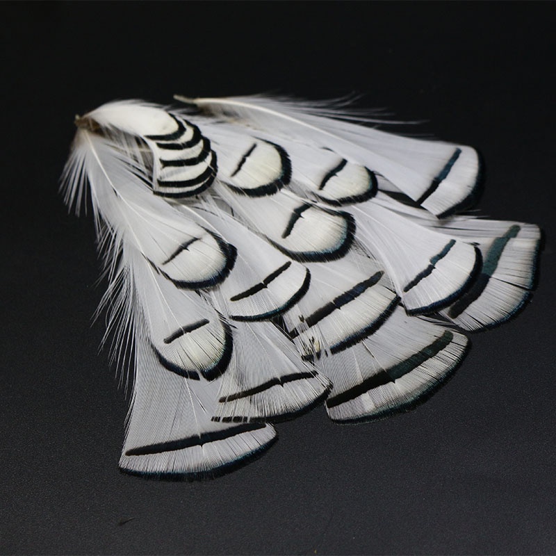 Lông Vũ Đuôi Cá Nhiều Loại Cho Nữ