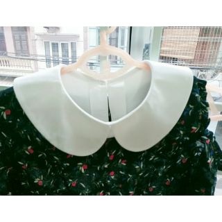 CỔ ÁO RỜI NỮ CÁNH SEN