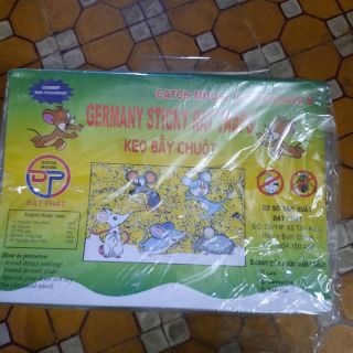 200 mieng keo chuot