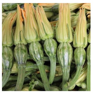 Hạt giống bí siêu nụ - bí ăn nụ