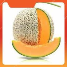 Hạt giống dưa lưới ruột vàng F1 gói 20 hạt
