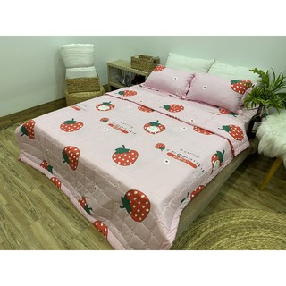 Chăn hè thu trần bông 3 lớp 1m8x2m mẫu dâu tây mới