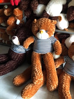 Gấu bông teddy 1m và m2