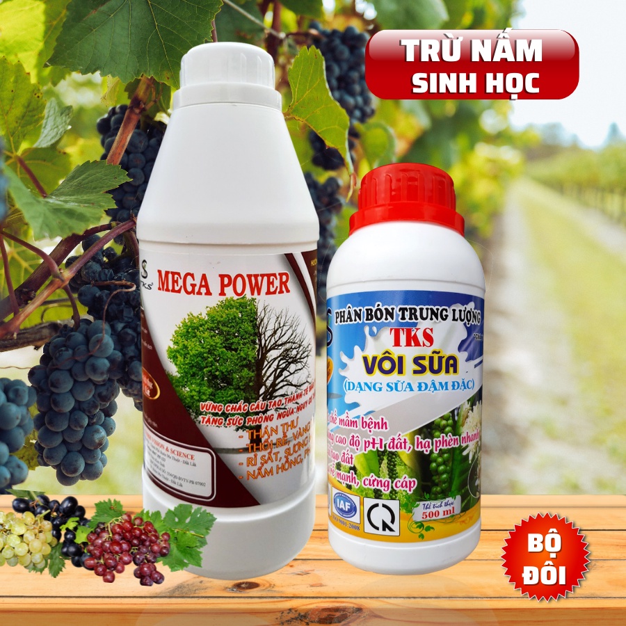 COMBO PHÒNG TRỪ THÁN THƯ, THỐI NHŨN- TKS MEGA POWER 1L + VÔI SỮA 500ML