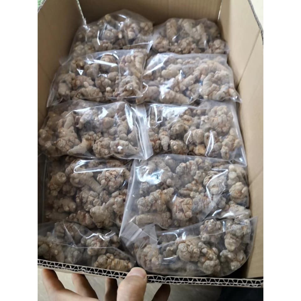 Củ Tam Thất Bắc Khô 100Gram ❤️FREESHIP❤️ / Củ Tam Thất Bắc Khô Size 5 Củ/ Lạng [LÂU NĂM] Giá Tốt