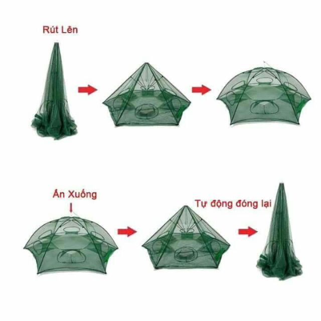 Lồng ô lồng bát quái