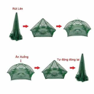Lồng ô lồng bát quái