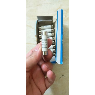 10 Cầu chì sứ 6A 10x38