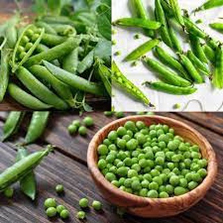 Đậu Hà Lan Sống 1kg