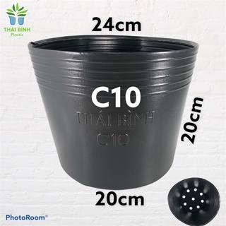 Chậu nhựa đen C10 trồng cây