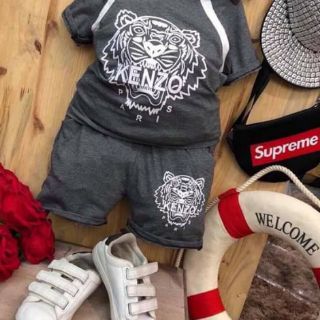 Bộ hổ cotton bé trai