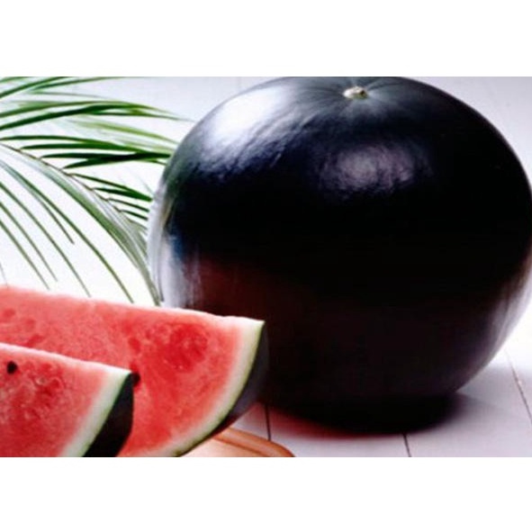 Hạt Giống Dưa Hấu Đen Ruột Đỏ (10) - Năng Suất ,Thơm Ngon - MUA 3 TẶNG 1 CÙNG LOẠI