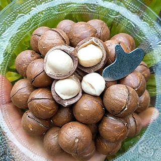 Mắc ca sấy