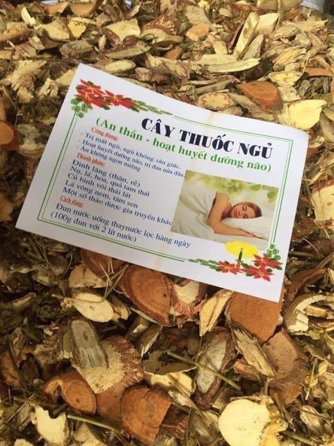 Cây thuốc ngủ thảo dược 1 kg an thần thiếu ngủ