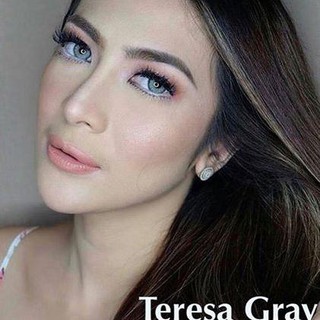 Linh Kiện Điện Tử Teresa Màu Xám D - 5.00