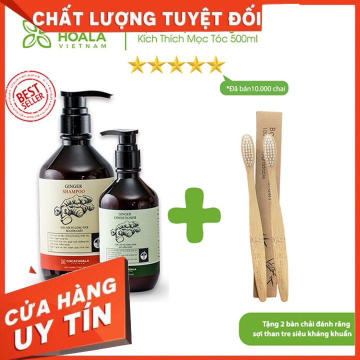 Bộ dầu gội-xả gừng tươi Cocayhoala kích thích mọc tóc 500ml | BigBuy360 - bigbuy360.vn
