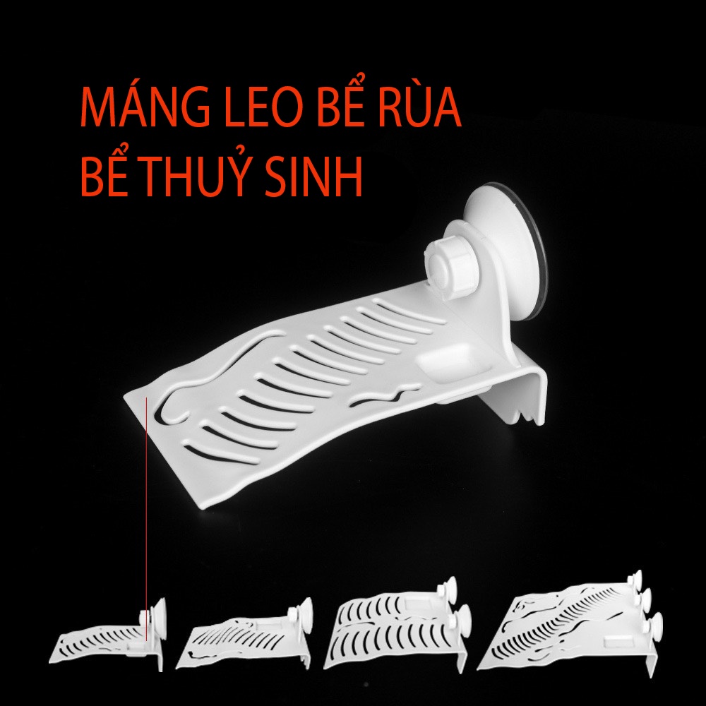 Máng leo cho rùa, máng leo bể thuỷ sinh, nuôi rùa cảnh