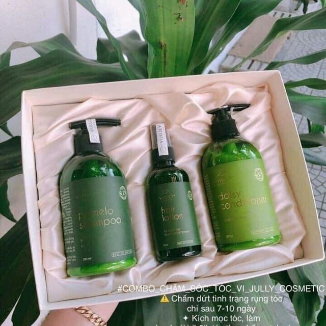 Combo tinh dầu gội bưởi