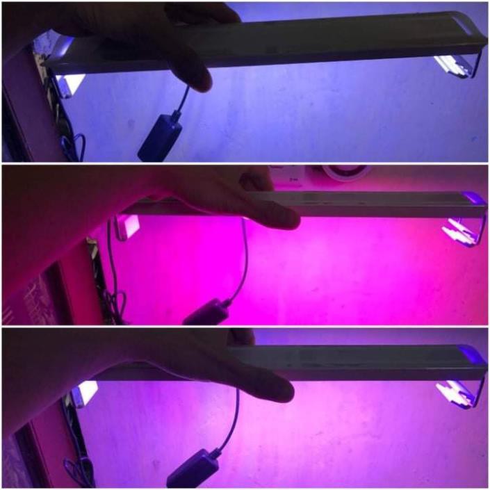 Đèn led đổi màu cho bể thủy sinh bể cá cảnh- đèn đánh màu đỏ cho cá