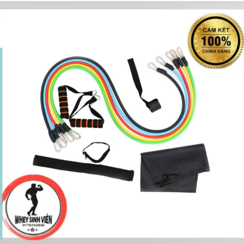 Bộ 5 Dây Ngũ Sắc Tập Full Body - Dụng Cụ Tập Gym tai WHEYSINHVIEN.COM