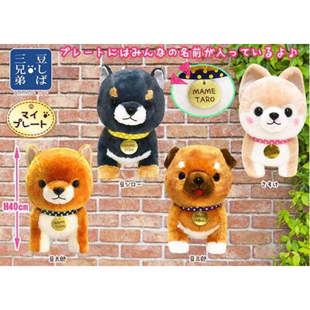 Amuse – Bộ 4 em cún Mameshiba đeo biển tên