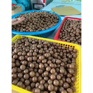 ❌❌ Hạt Macca Nứt Vỏ Tự Nhiên 500g