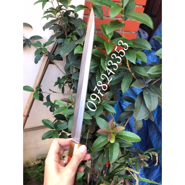 Dao chuyên dụng sashimi thái lát cá hồi - thép trắng trống gỉ sạch sẽ sắc bén